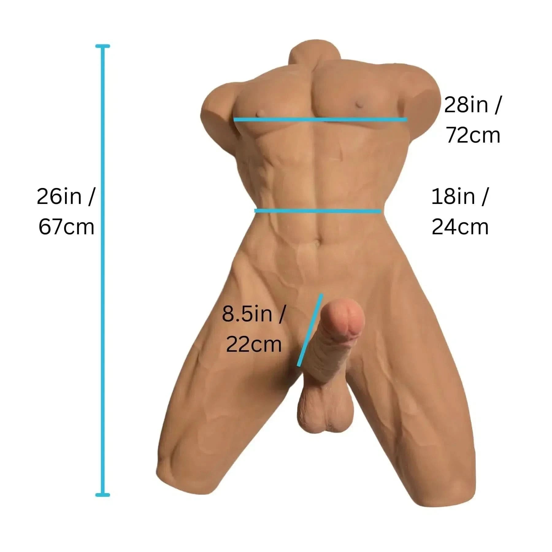 Half Torso Male Sex Doll Masturbator - Bondivibes