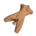 Half Torso Male Sex Doll Masturbator - Bondivibes